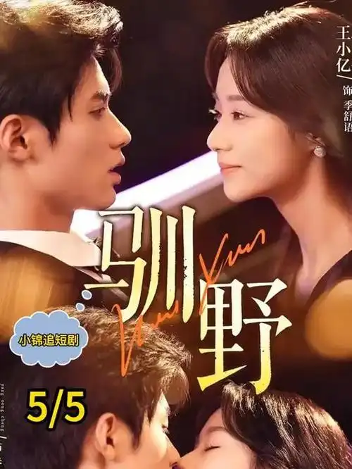 逆风的女医生